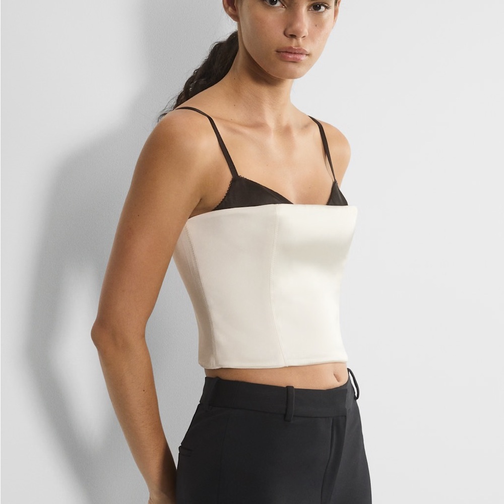 Aritzia Ten Hypnotize Satin Bustier